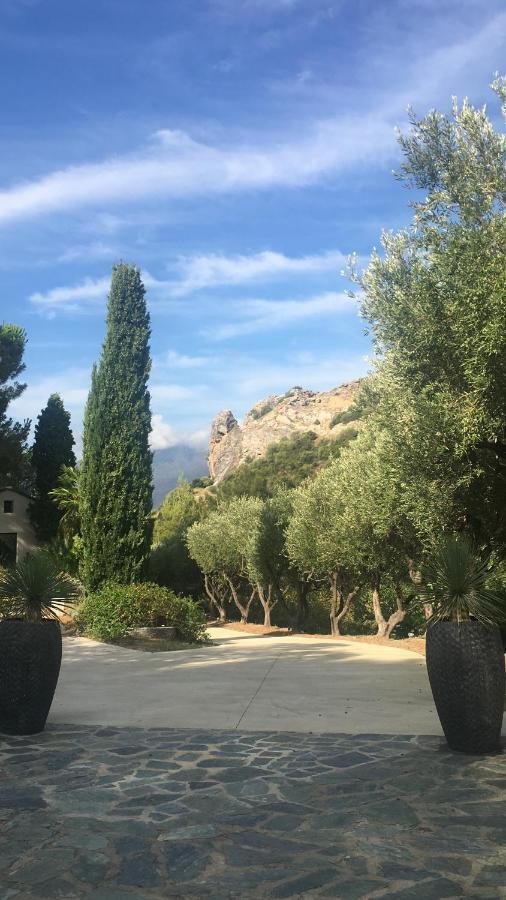 Villa Milanu Oletta Kültér fotó